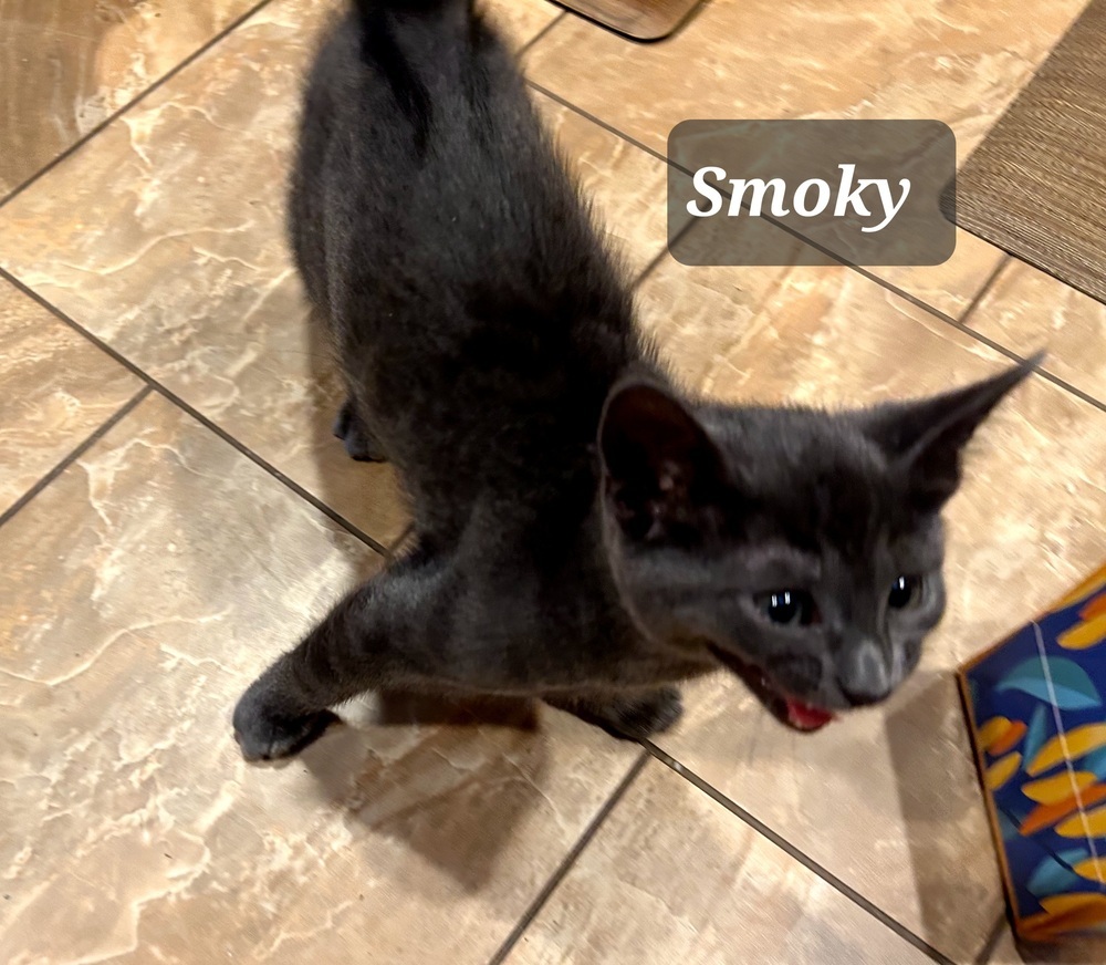 Smokey Joe 0863