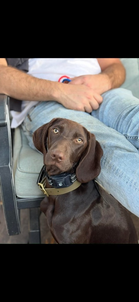 Millie