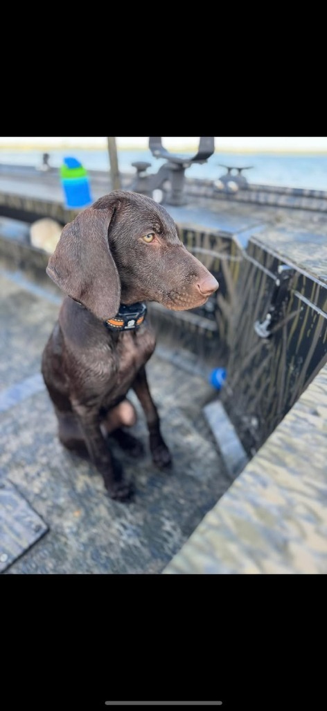 Millie