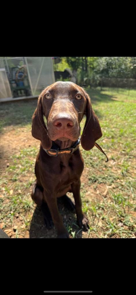 Millie