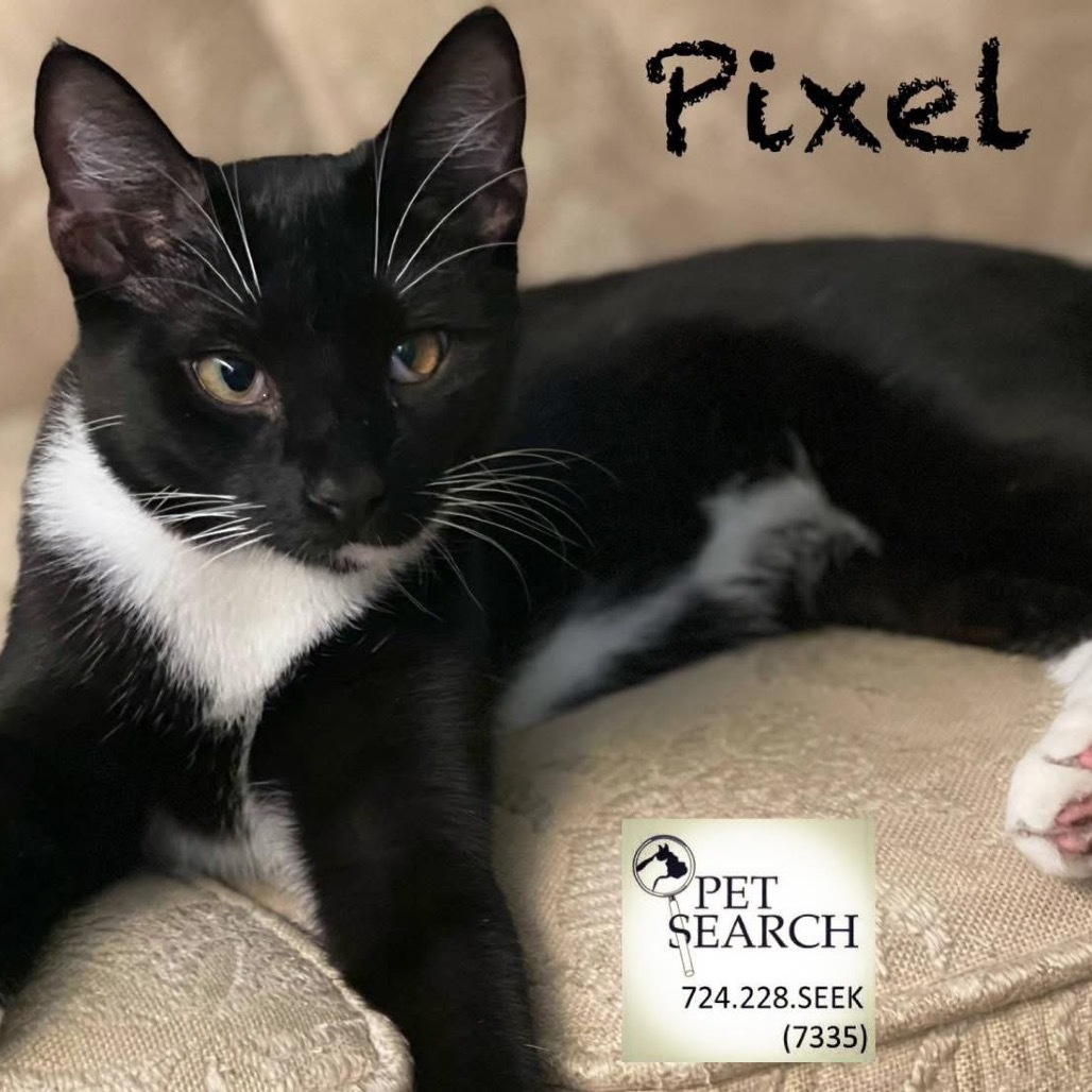 Pixel