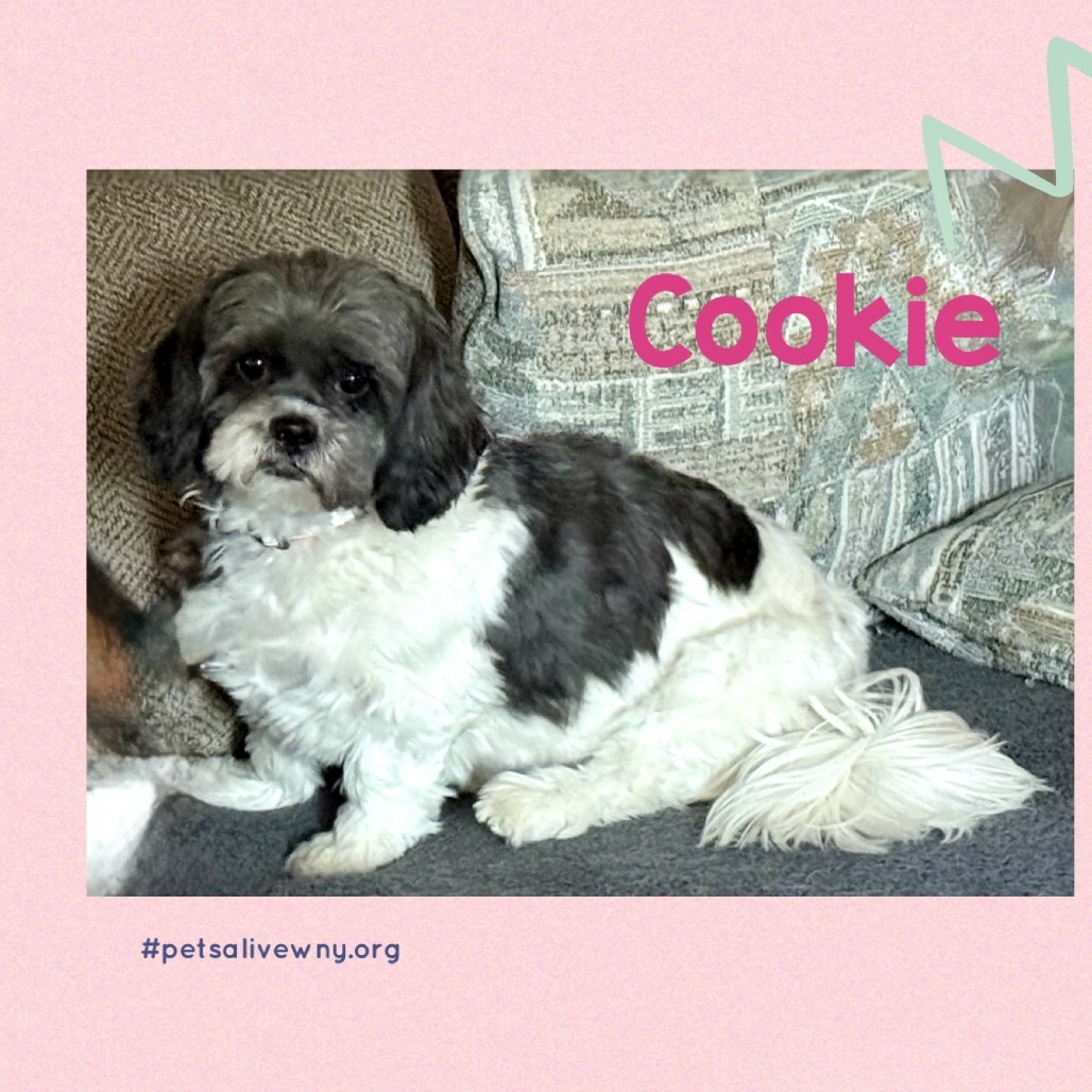 Cookie