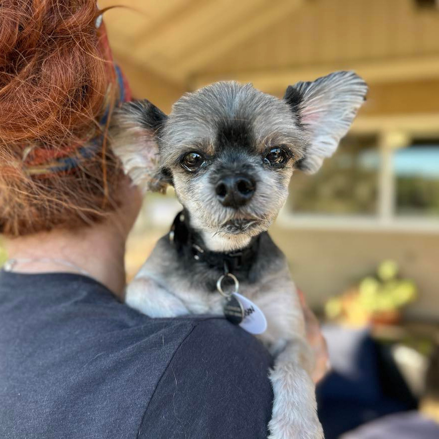 Samson