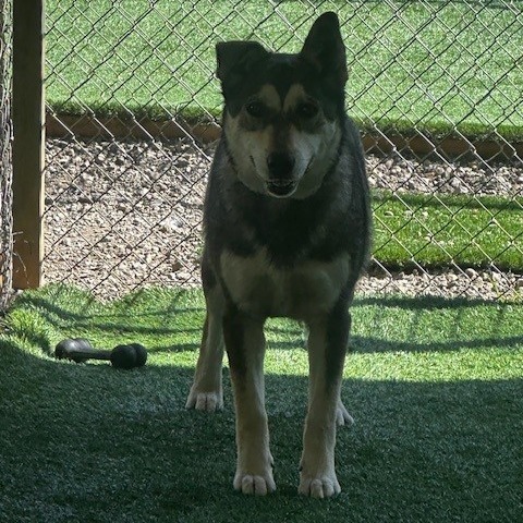 Ruby