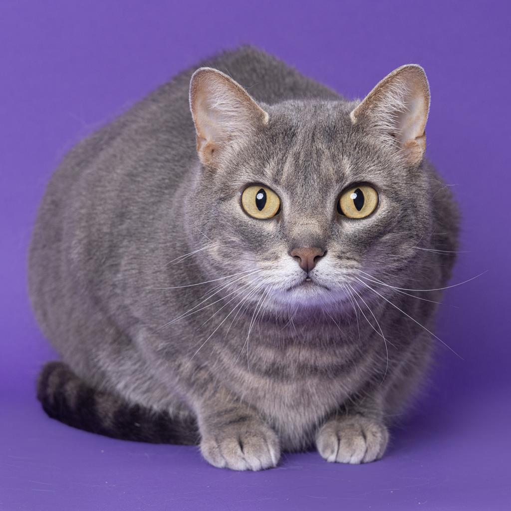 Marvin