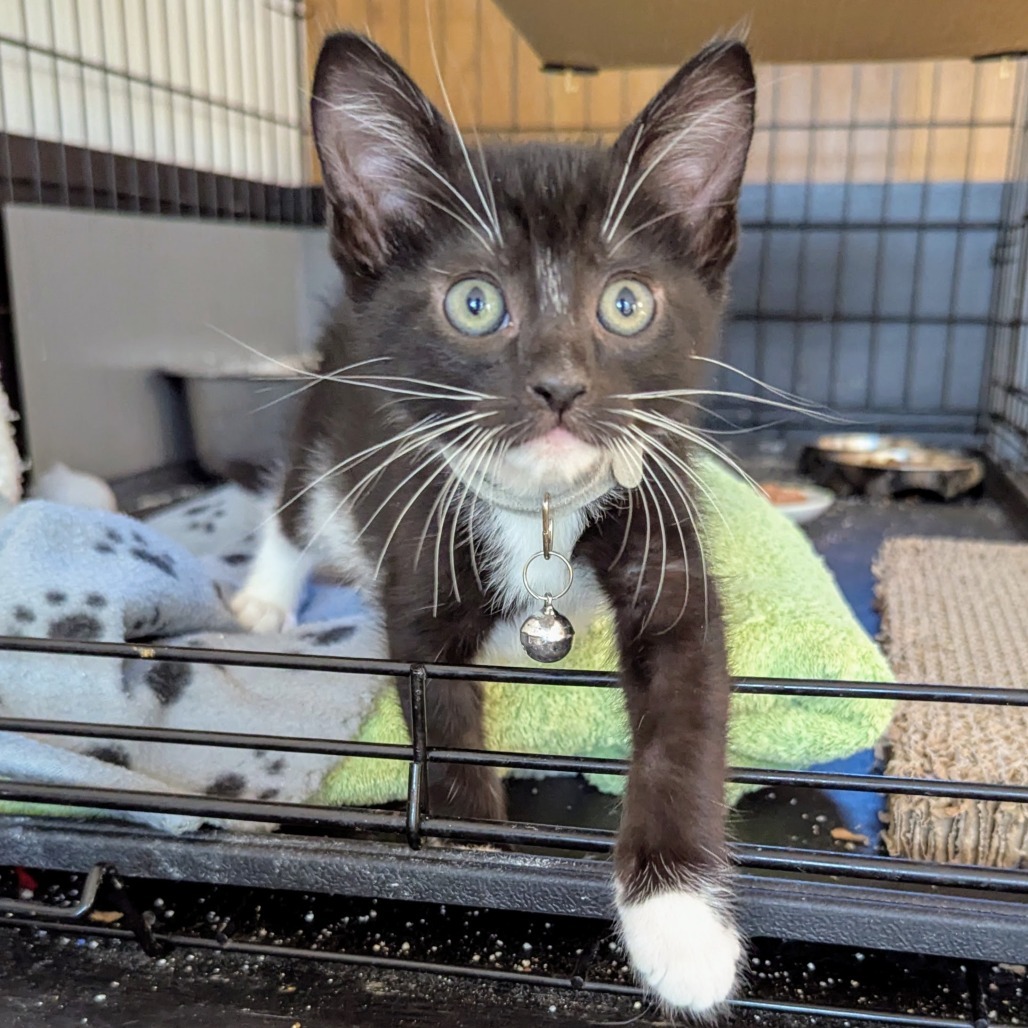 Milo