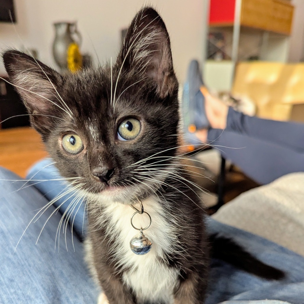 Milo