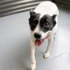 Mitzi photo 3