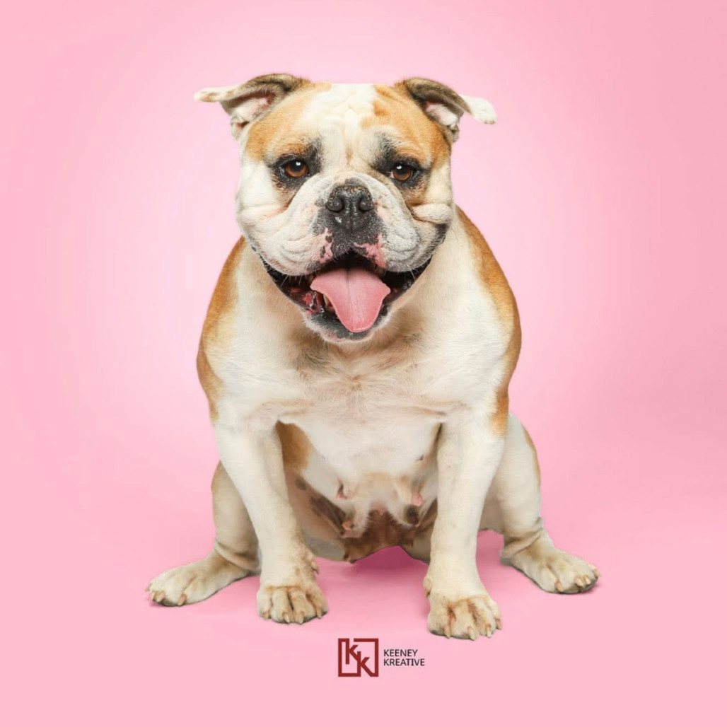 Lady*a very generous friend has partially sponsored my adoption fee*