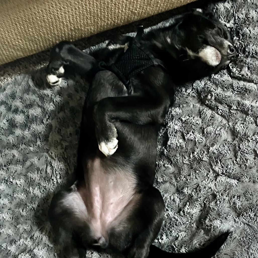 Maddie