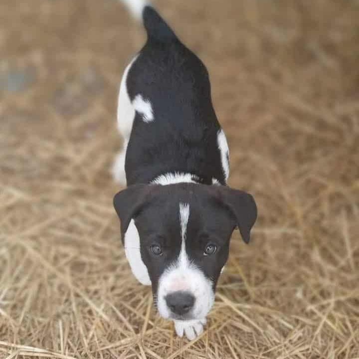 Murphy