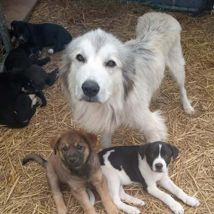 Mama MayBelle