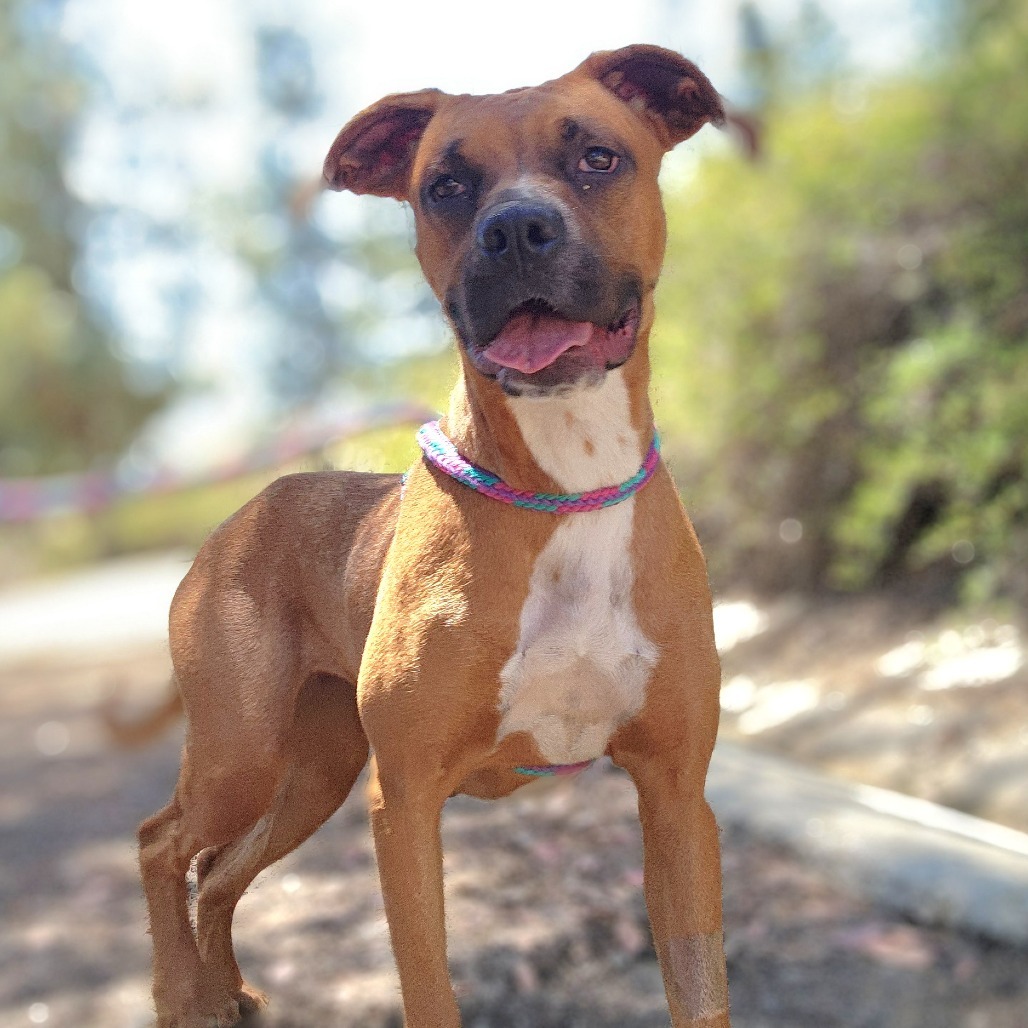 Sasha C000-235-Chino Hills Location