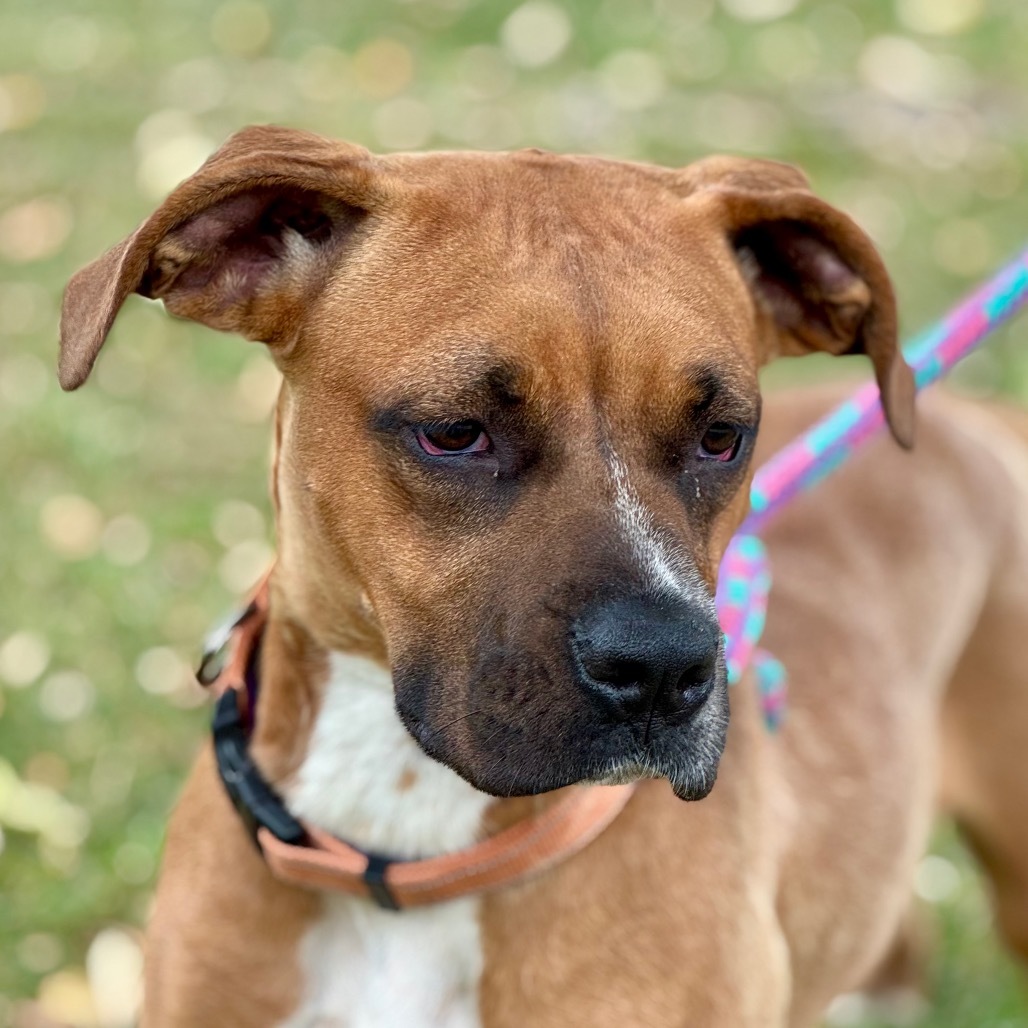 Sasha C000-235-Chino Hills Location