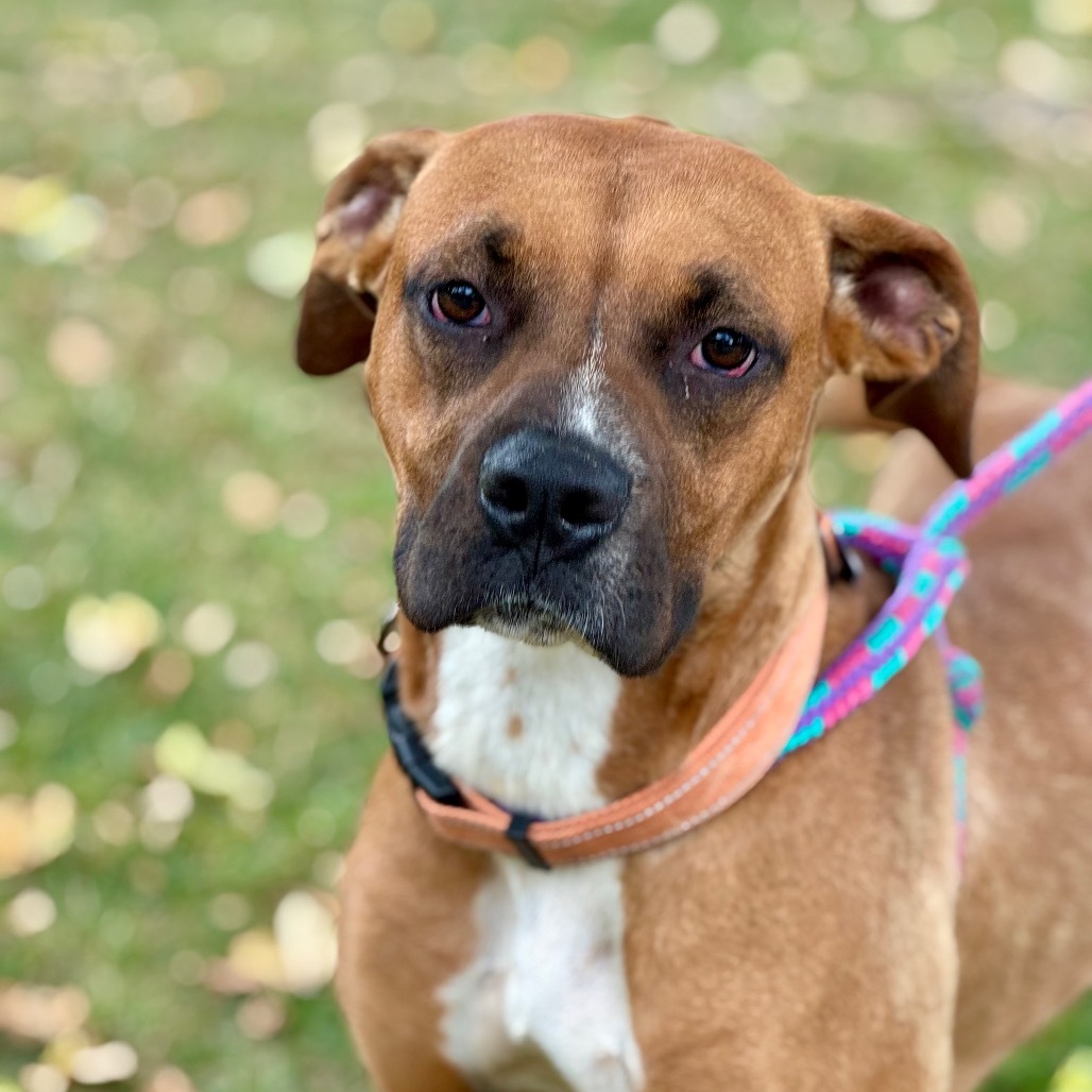Sasha C000-235-Chino Hills Location