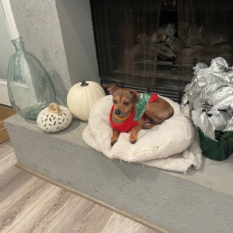 Diego