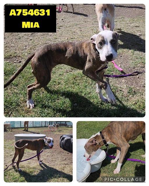 MIA