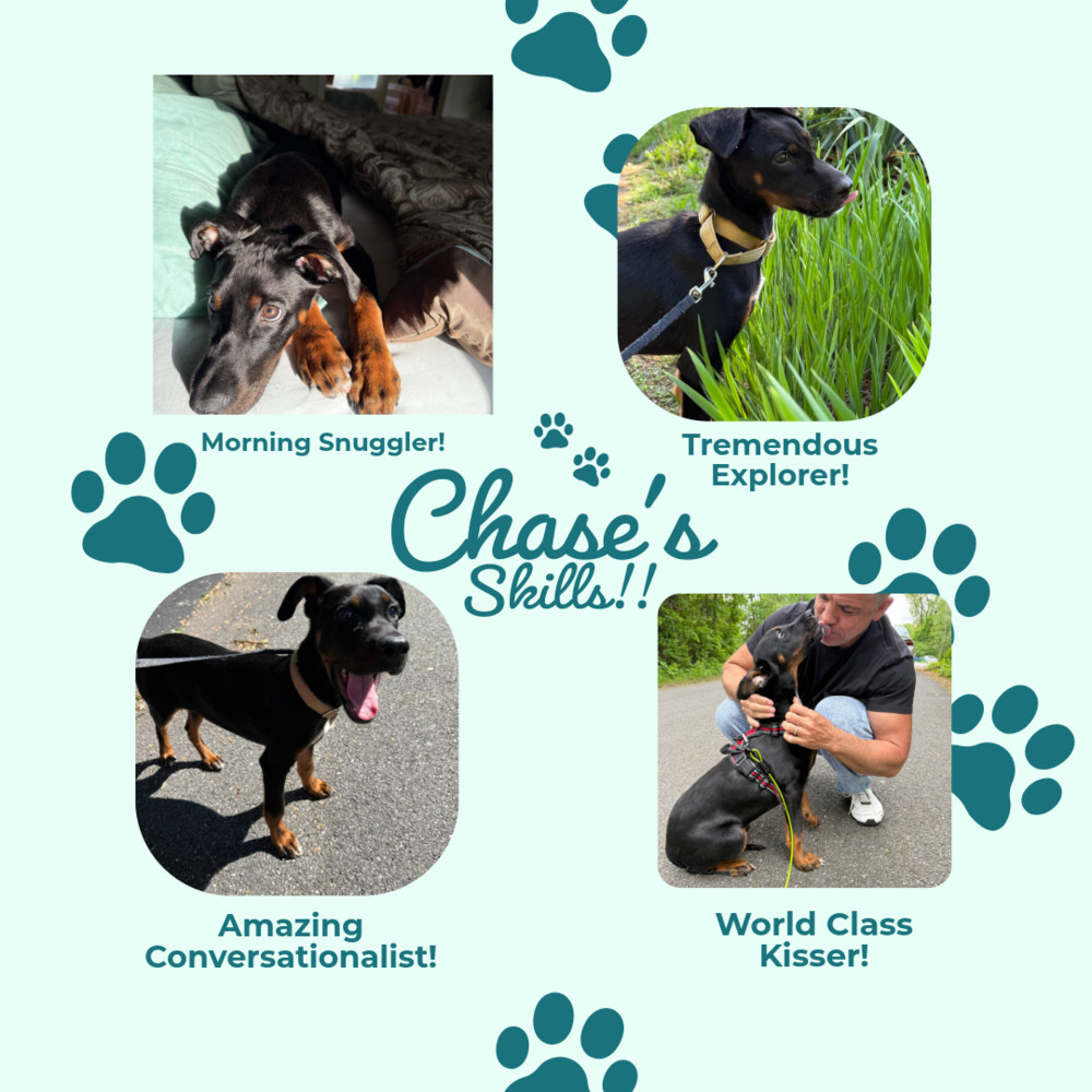 Chase