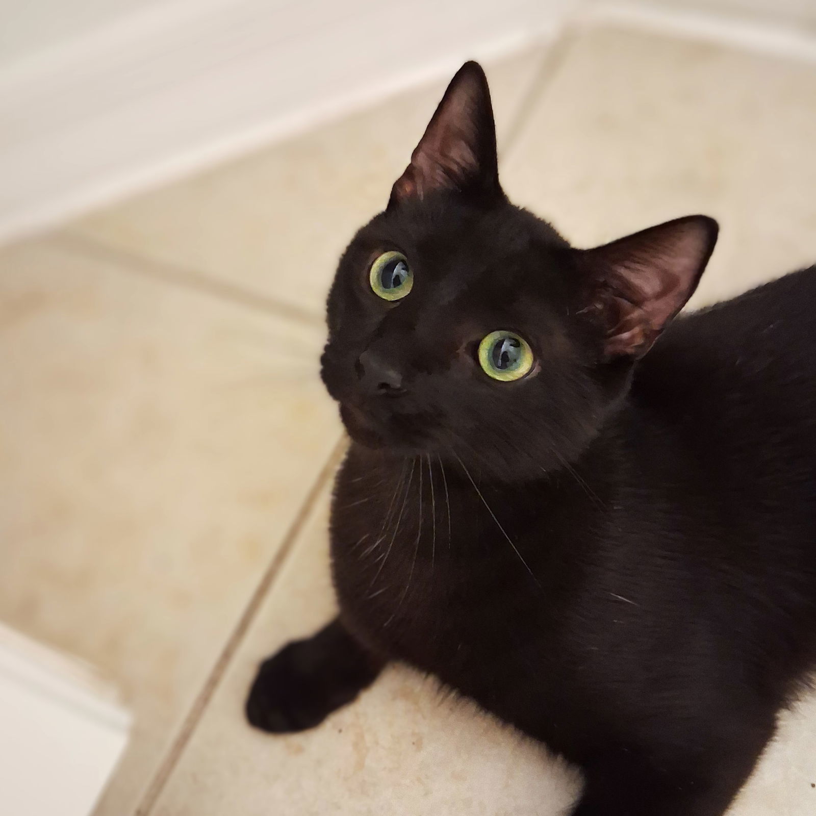 Simon