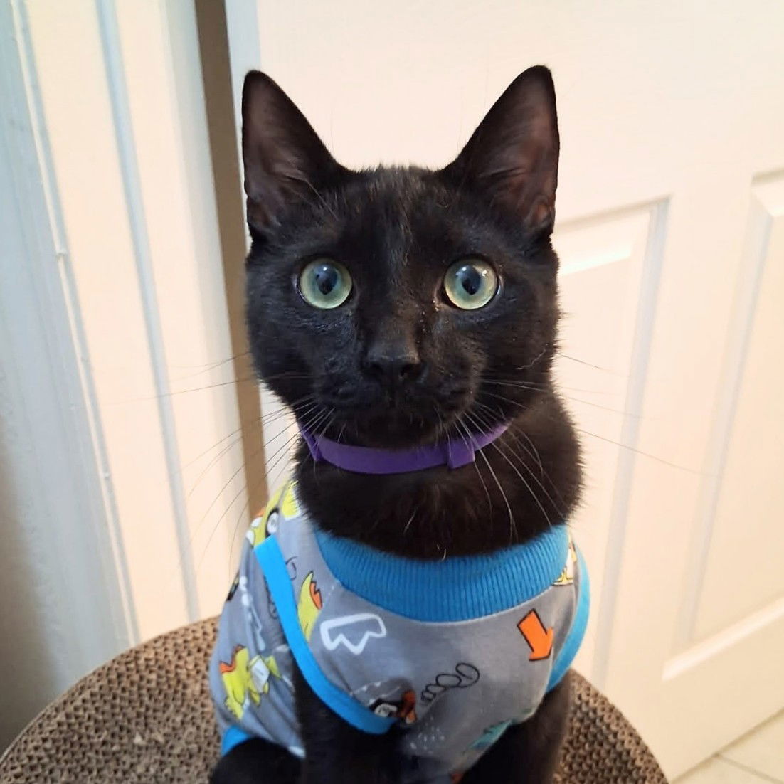Simon