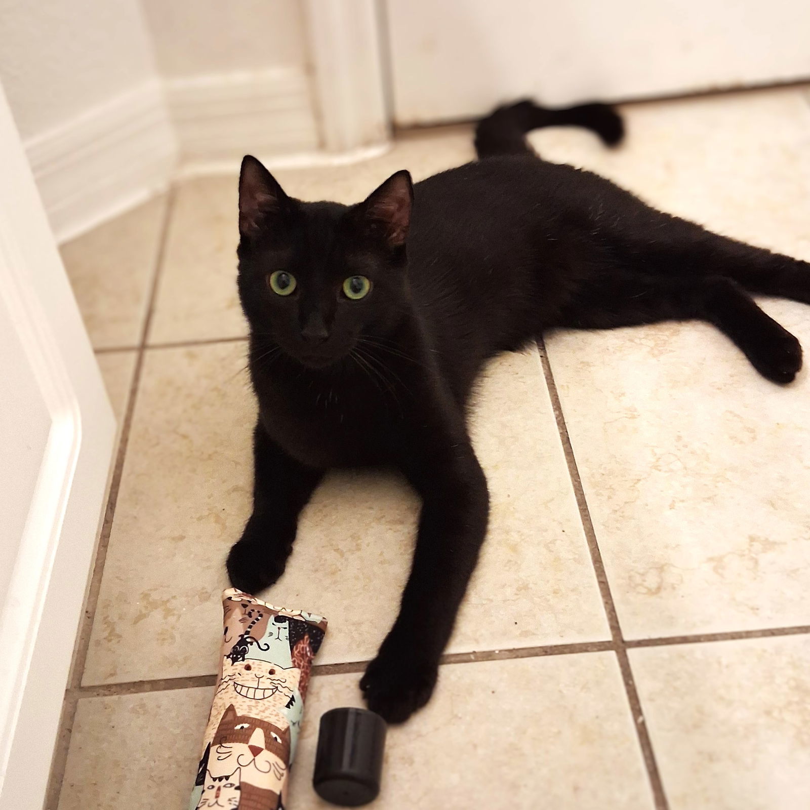 Simon