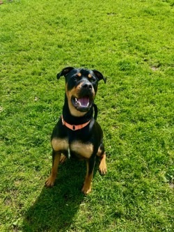 Max