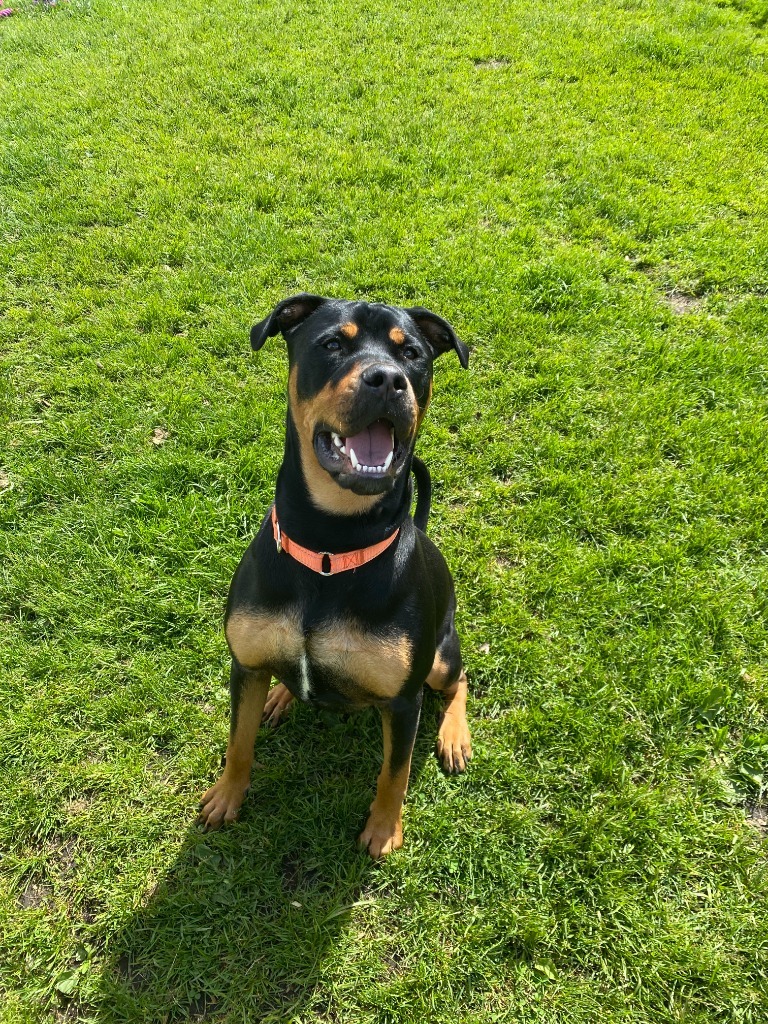 Max