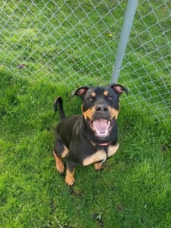 Max
