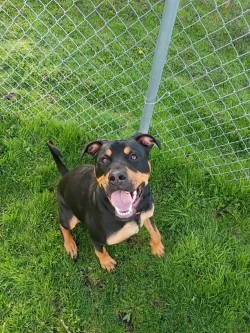Max