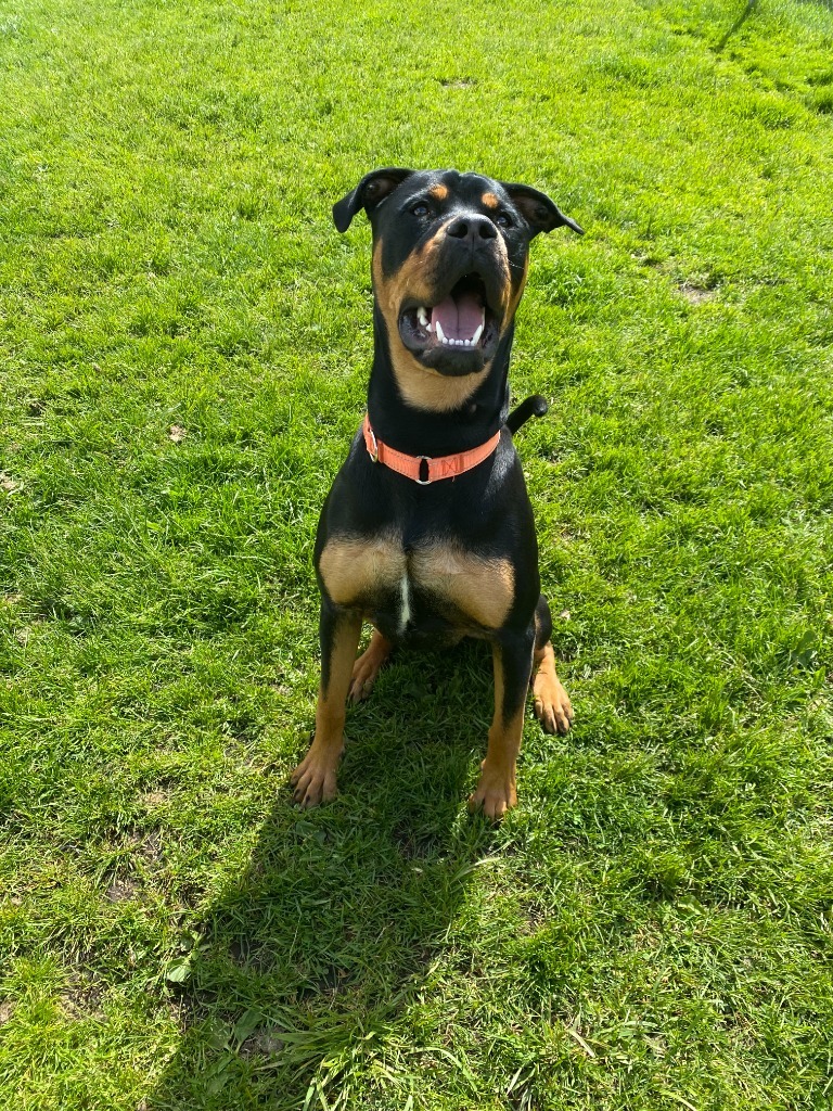 Max
