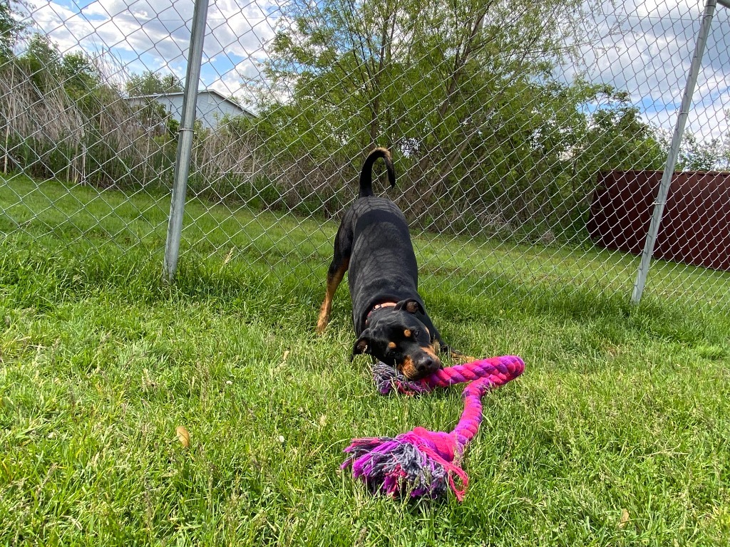 Max