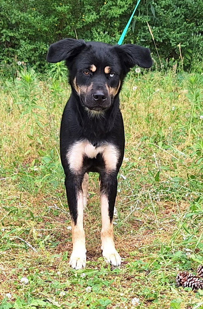 250507 Sheeva