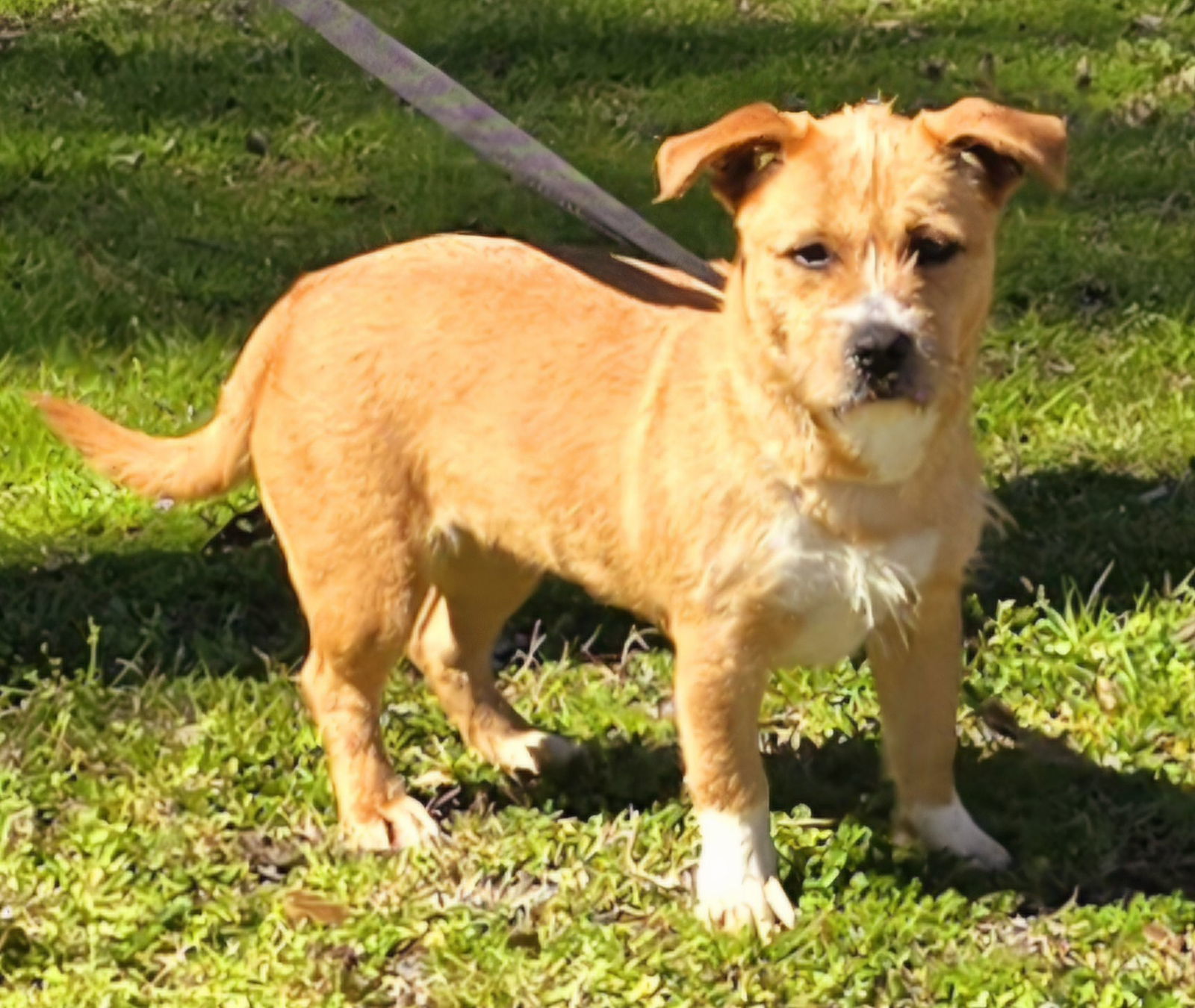 250409 Gabby