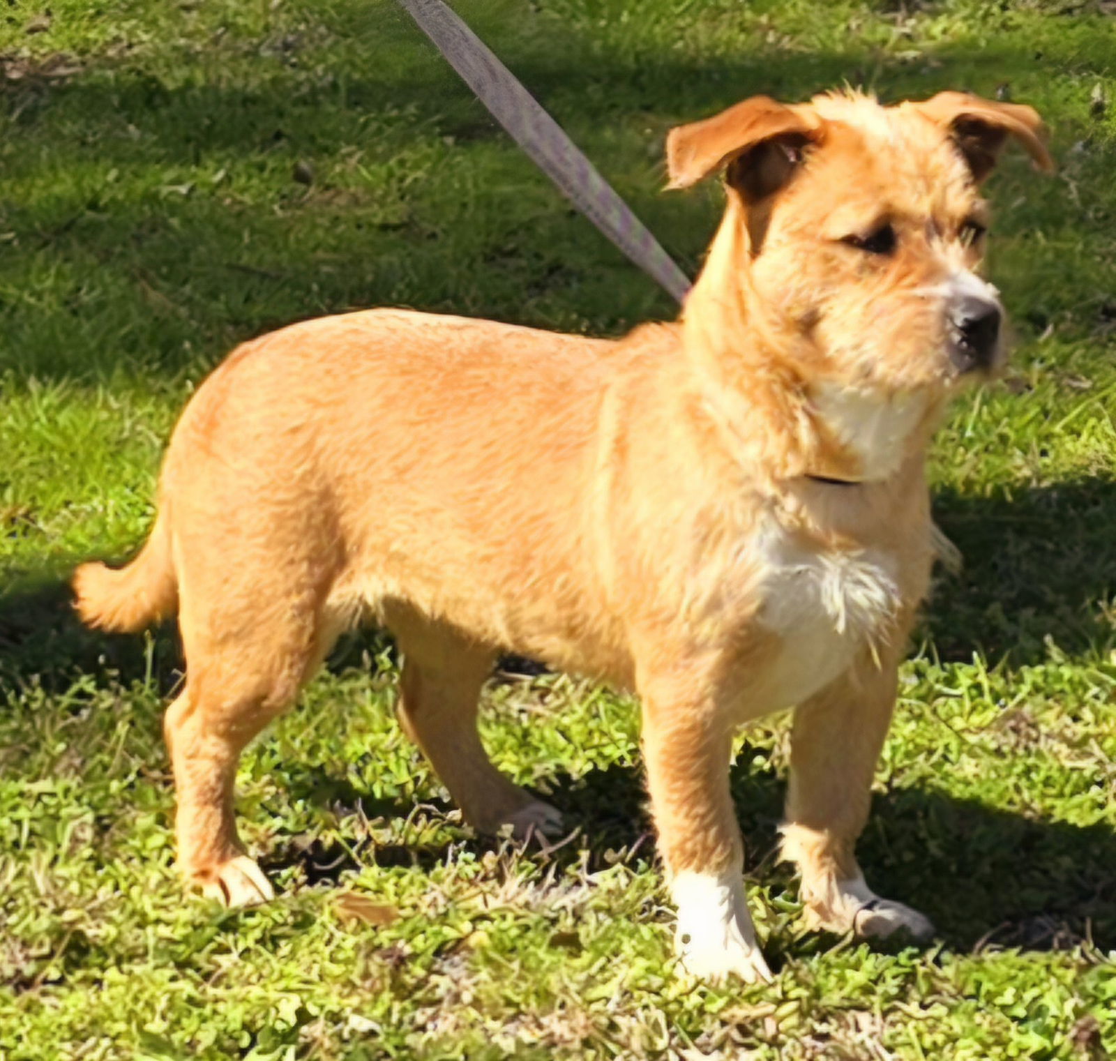 250409 Gabby