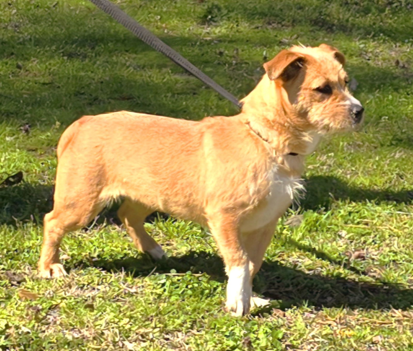250409 Gabby