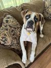 Gus photo 2