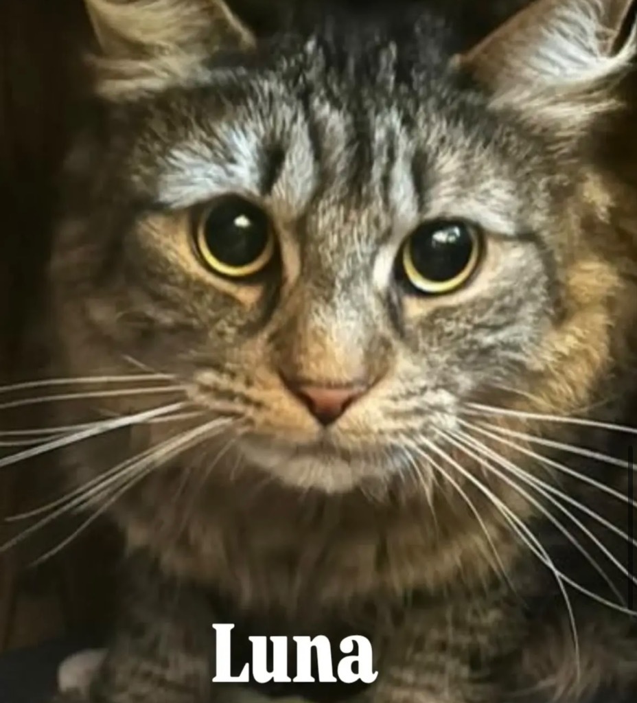 Luna aka Autumn