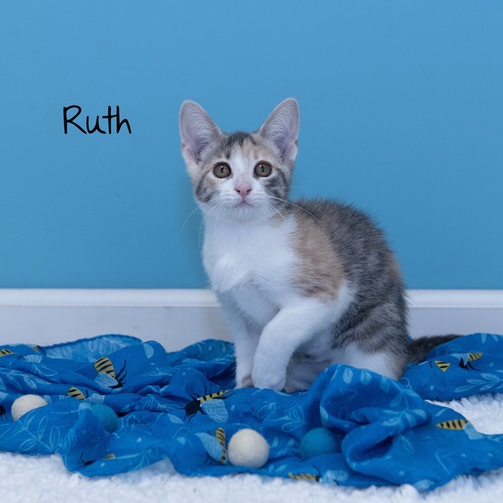 Ruth