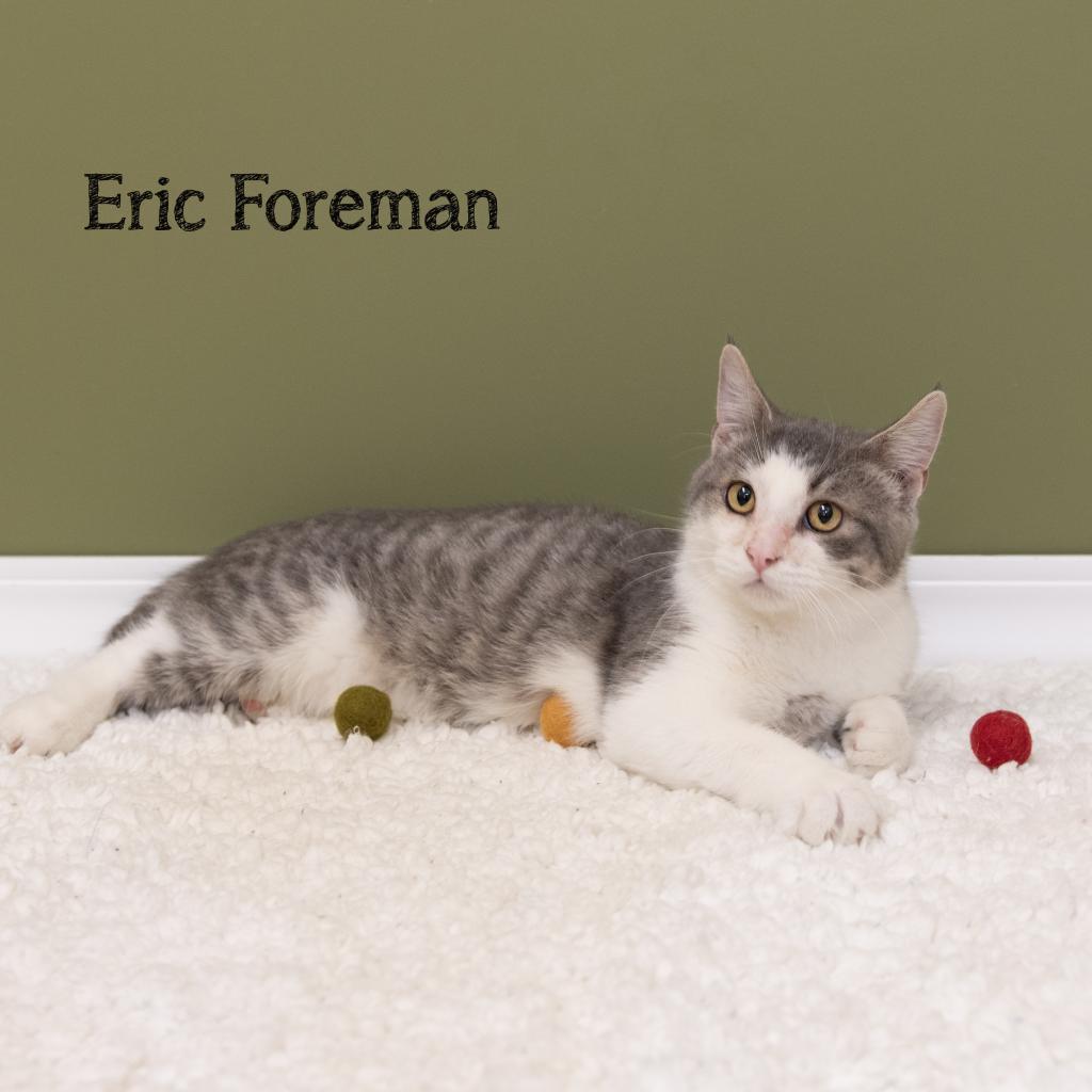 Eric Forman