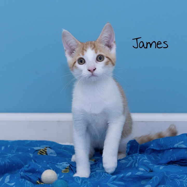 James