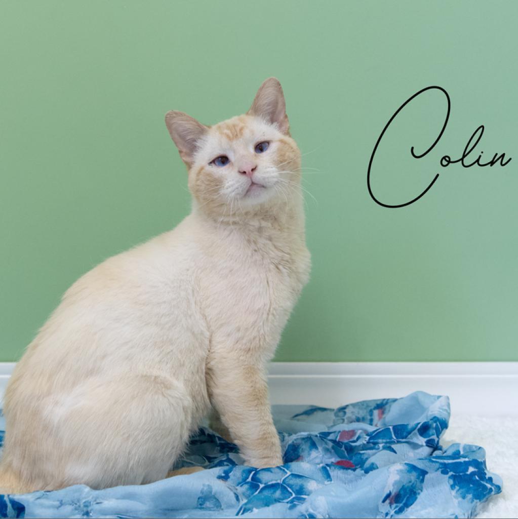 Colin