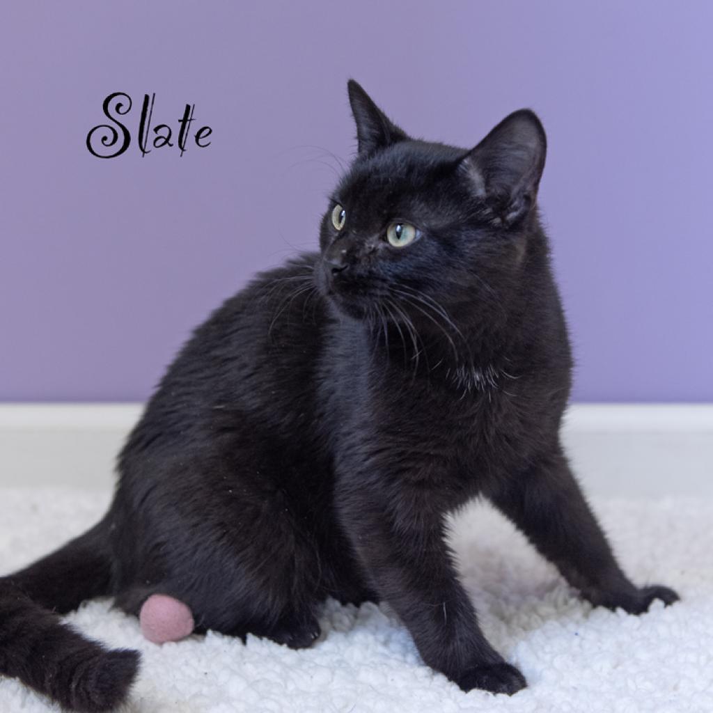 Slate