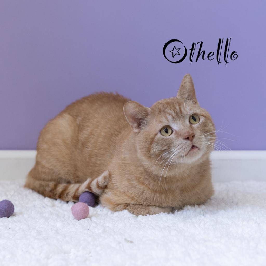 Othello