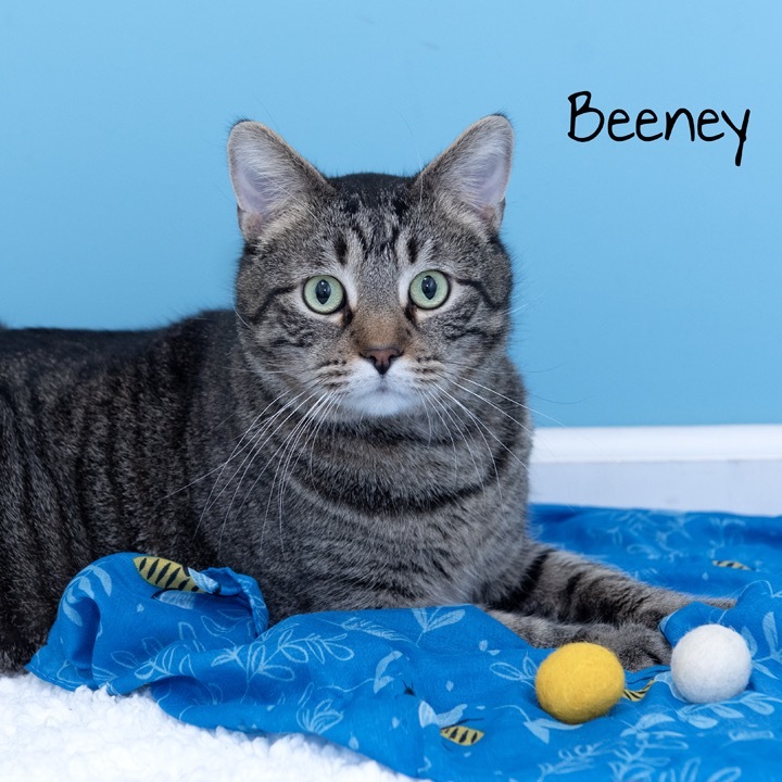 Beeney
