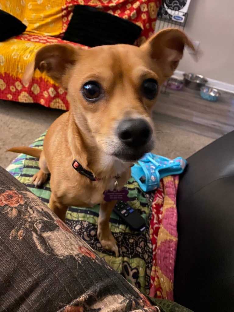 Luna Chi
