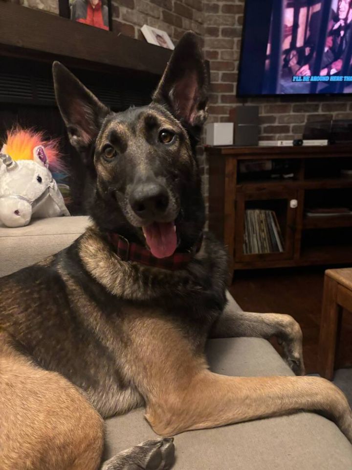 Gabby - located in AZ 5