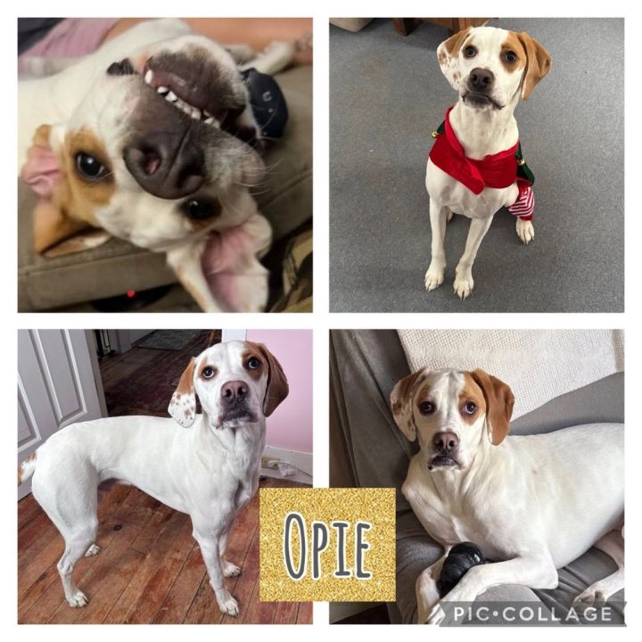 Opie 1
