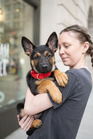 Meet Tarzan - a young pup who wakes up everyday excited to learn more about this jungle called life