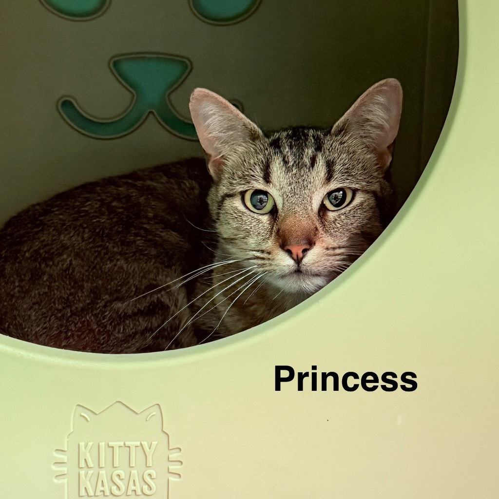 Princess