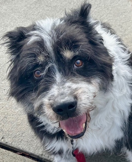 Einstein